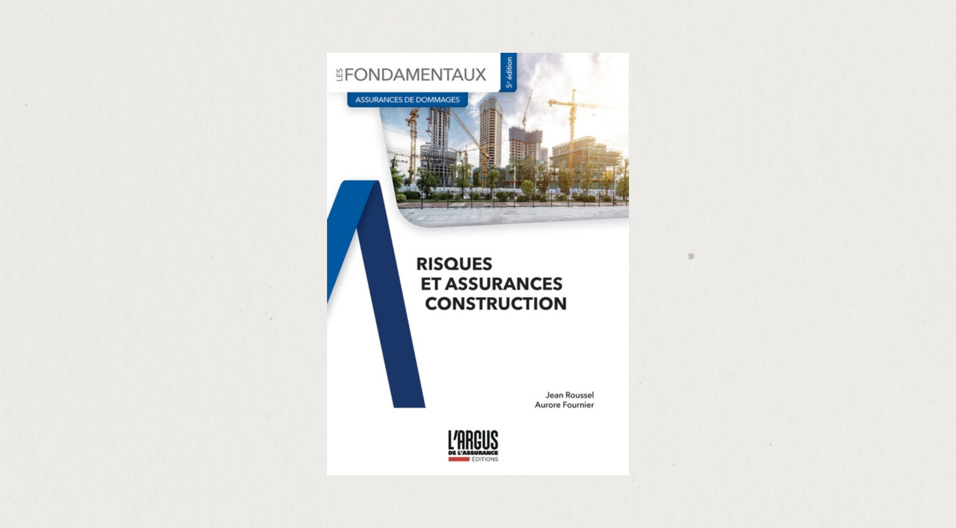 Illustration de l'article Risques et assurances construction - 5e édition